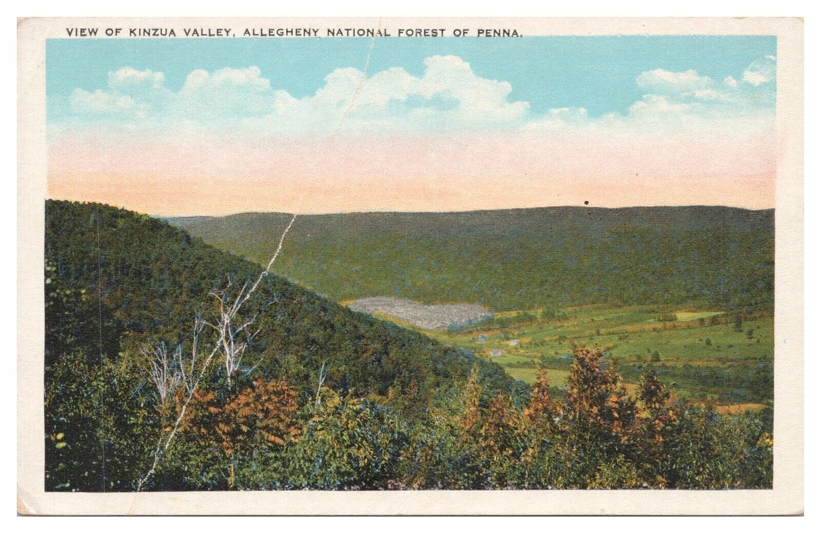 Vintage Allegheny National Forest PA Postcard View of Kinzua Valley Unposted WB