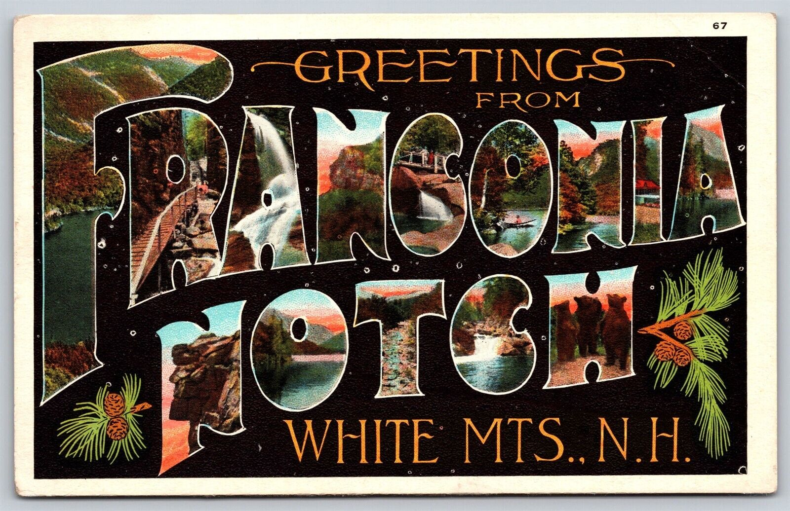 Postcard Greetings from Franconia Notch White Mts NH large letter C32