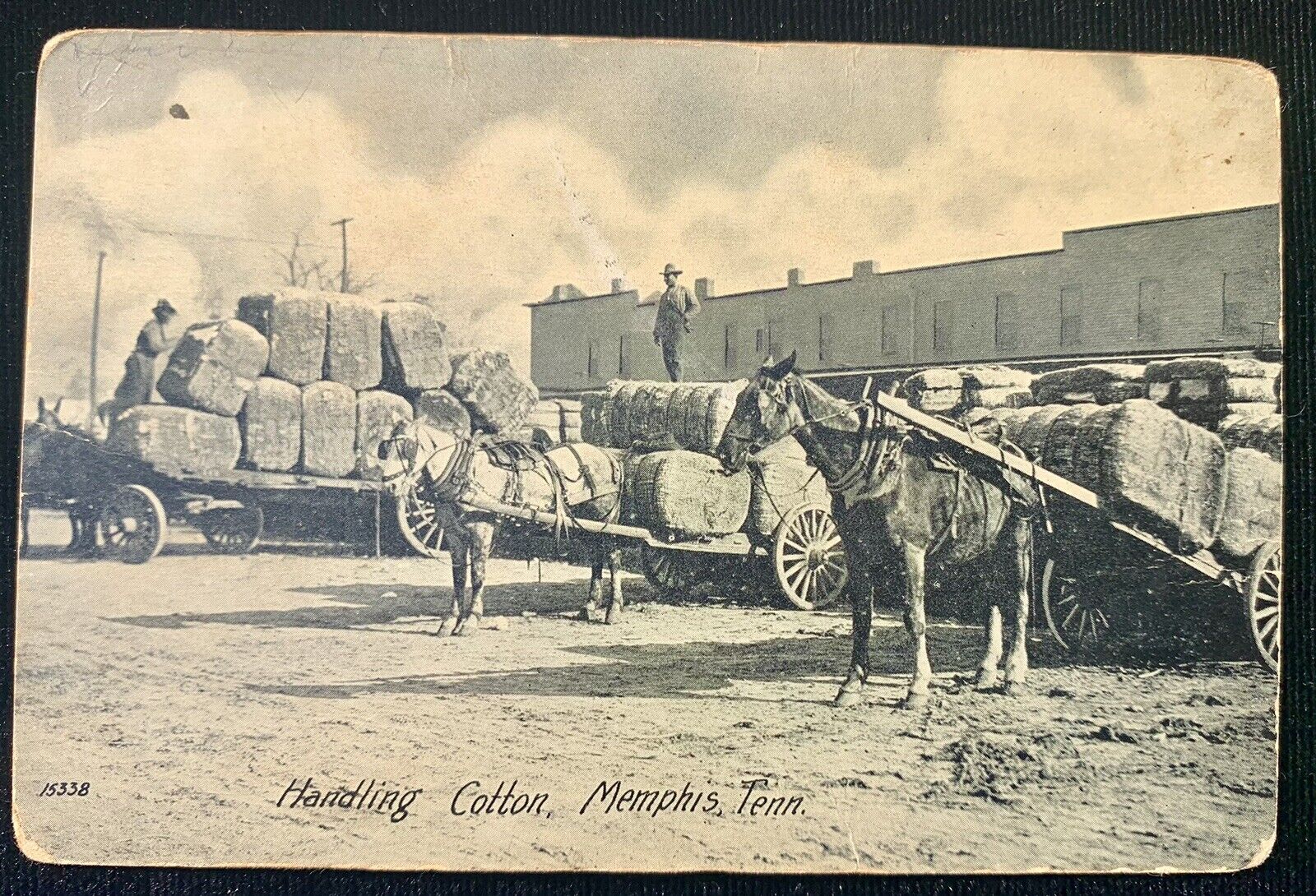 1910 Handling Cotton Postcard Memphis Tennessee Hopkinsville Kelly Kentucky
