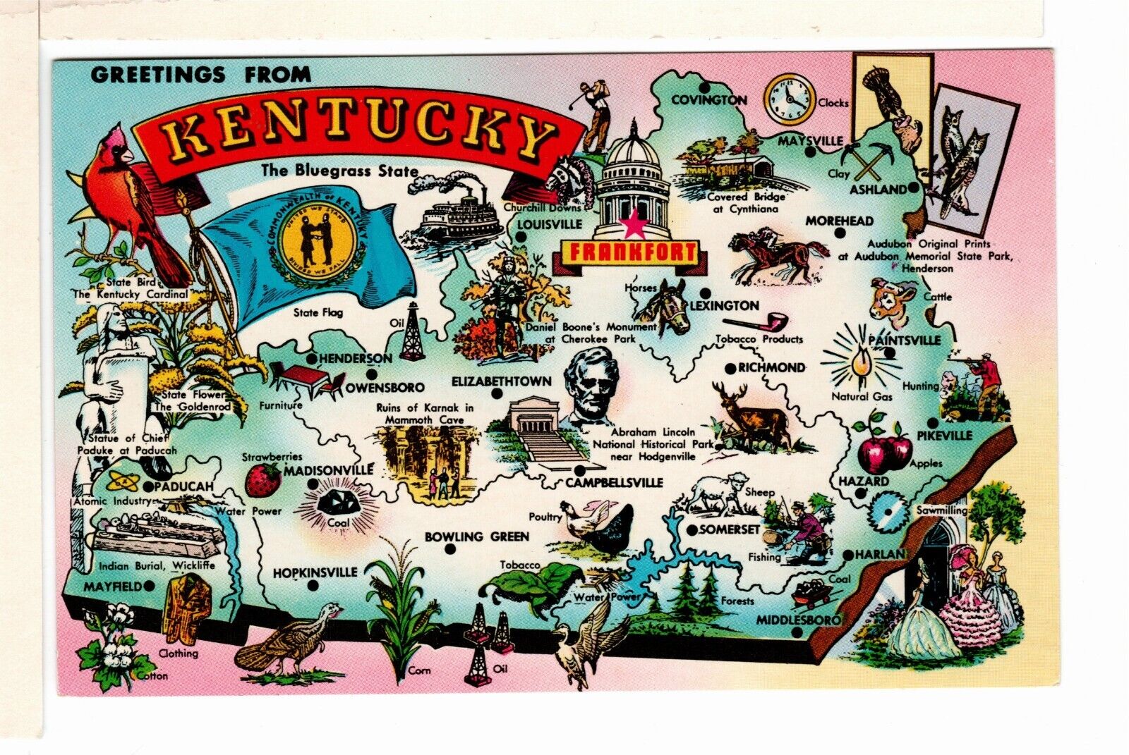 Unposted Postcard State Map Greetings from Kentucky KY The Bluegrass State-WP3