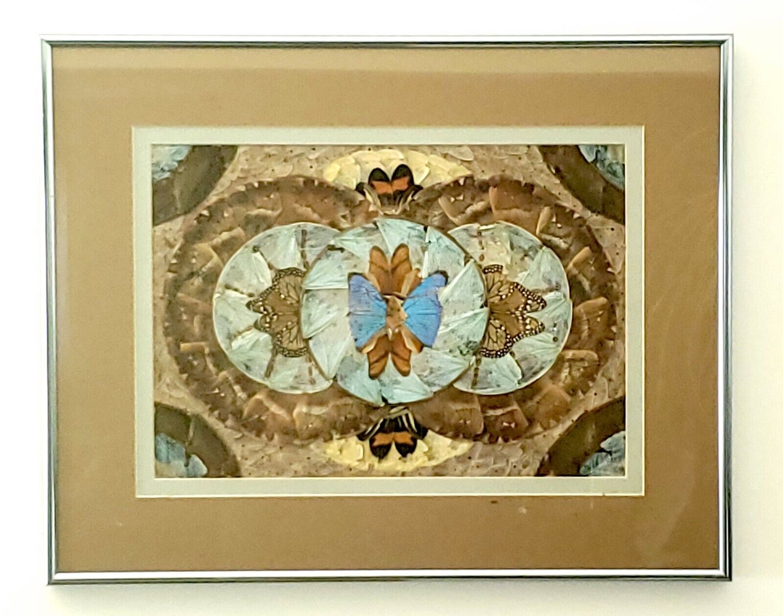 Blue Imperial Moth Monarch Butterfly Wings Vintage Intricate Frame Art Collage