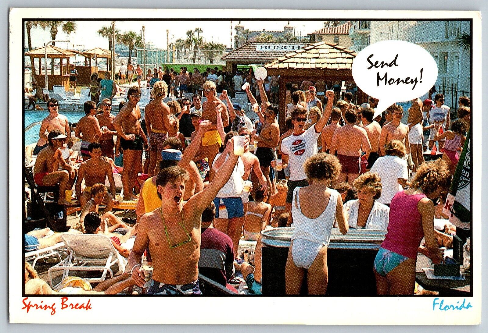 Florida FL - Spring Break at Florida Beach - Vintage Postcard 4x6 - Posted