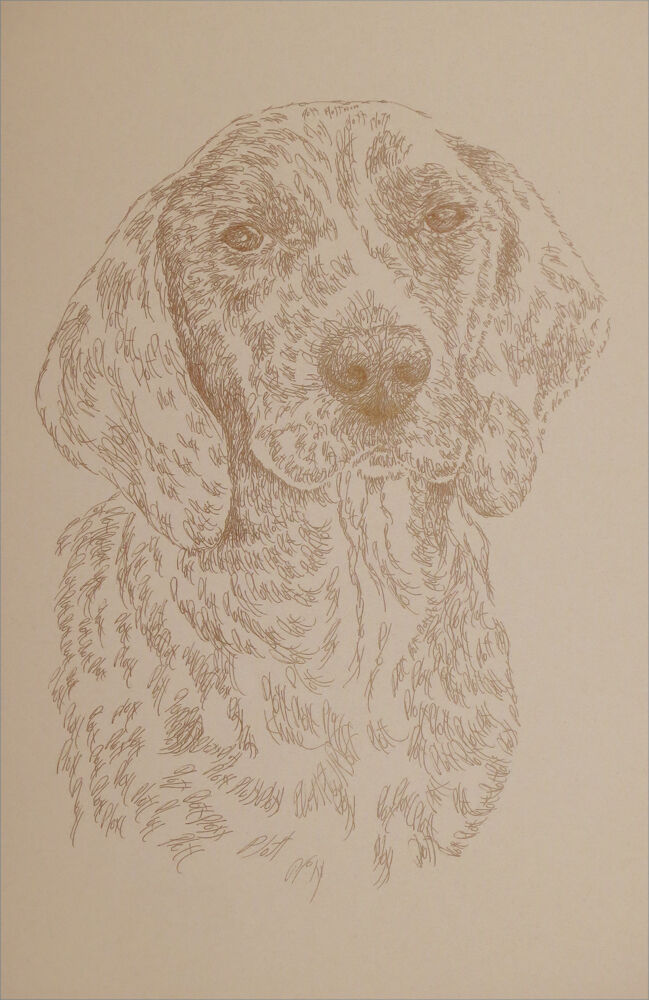 Plott Hound Dog Art Portrait Print #22 Kline adds dog name free. WORD DRAWING