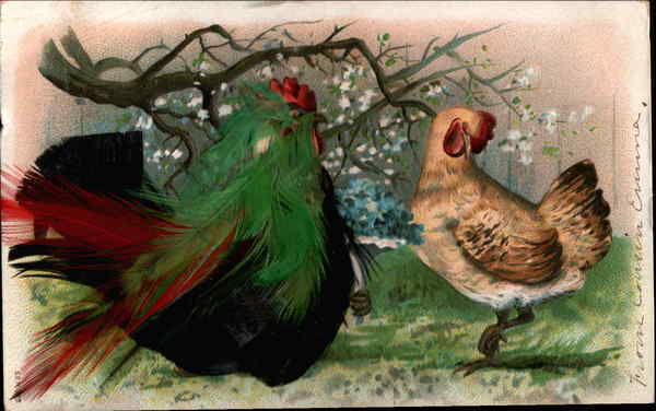 Real Feathers Easter Greetings Postcard 1c stamp Vintage Post Card