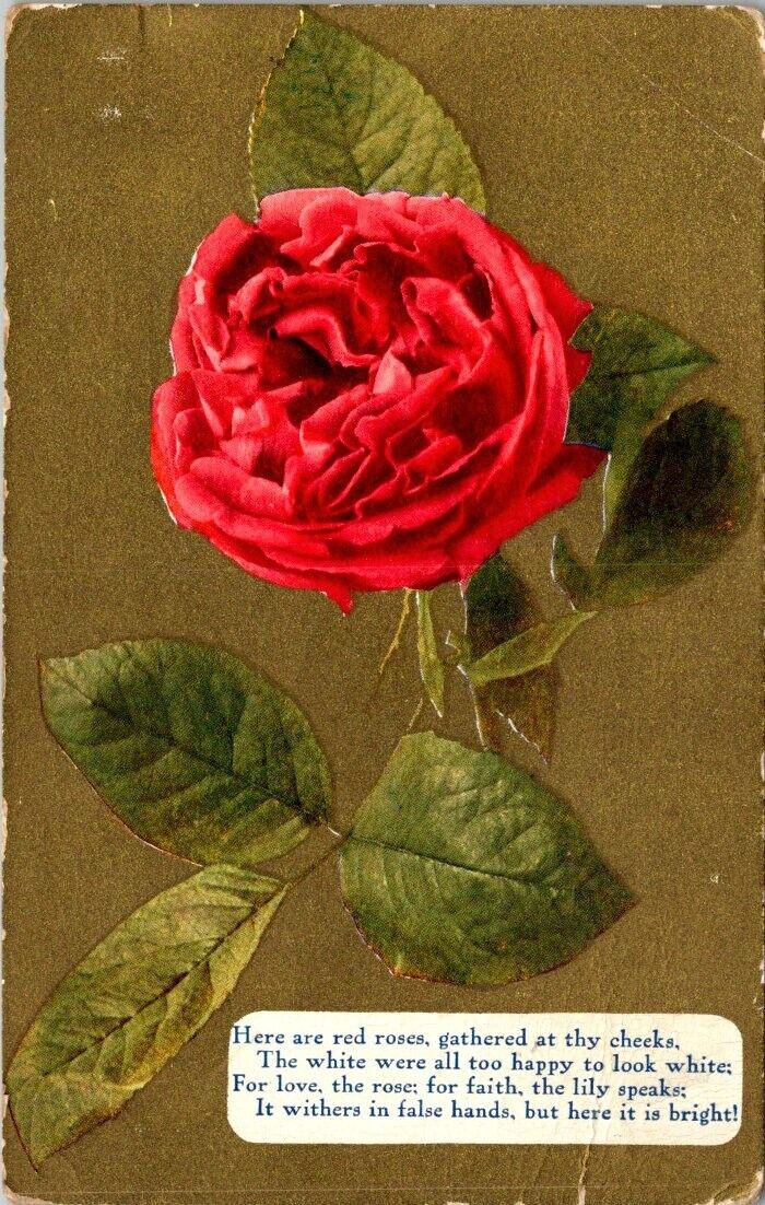 vintage postcard -red rose and poem c1900s