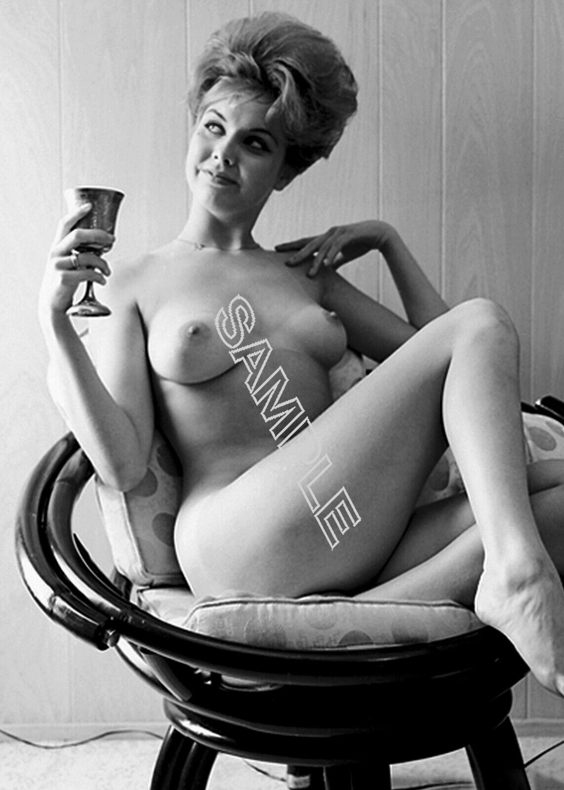 Denise Daniel 1962-Classic, Retro, Timeless, Pinup, Vintage, Model-Photo C12