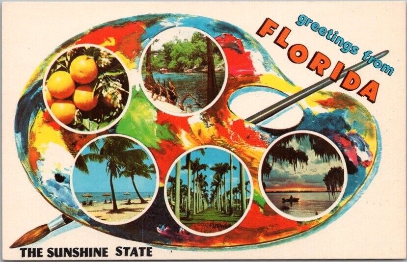 c1960s FLORIDA Multi-View Greetings Postcard Artist\'s Palette \