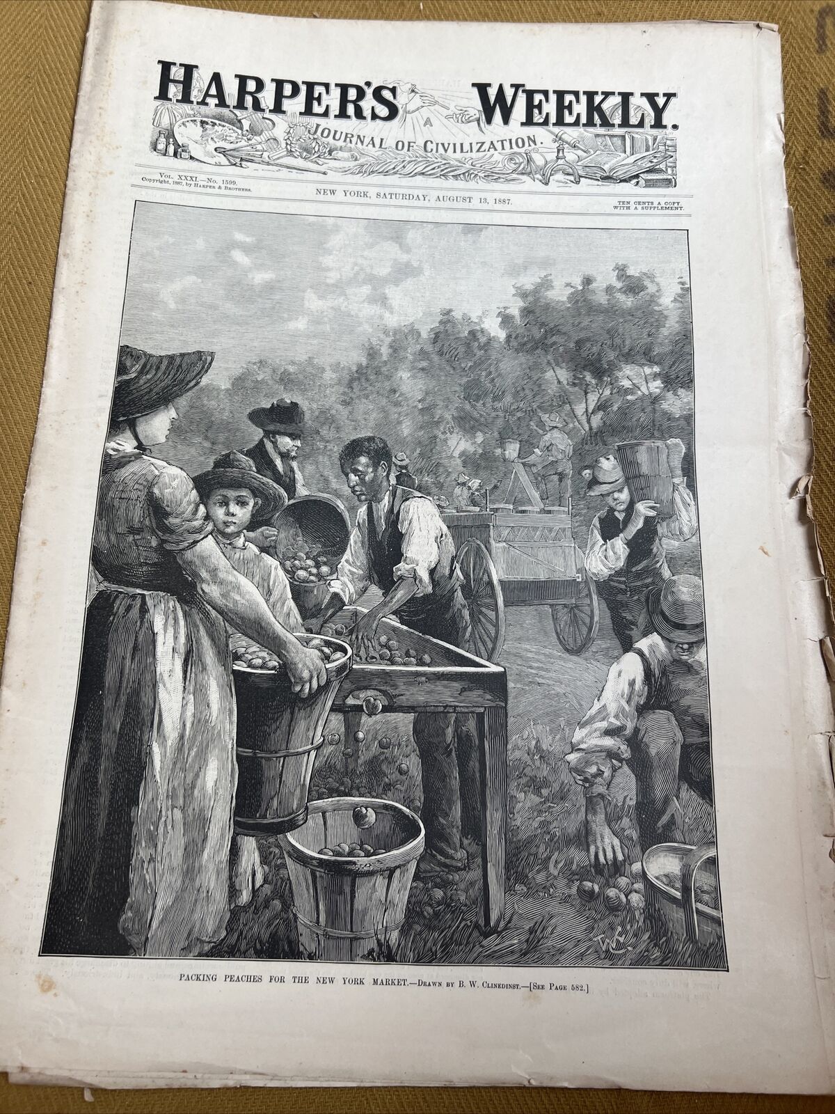 Packing Peaches For NY Market Harper’s Weekly August 13, 1887 fd93
