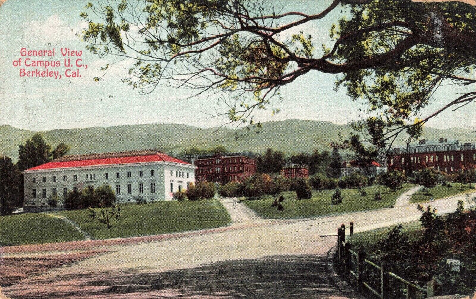 General View of Campus U.C. Berkeley California CA 1909 Postcard