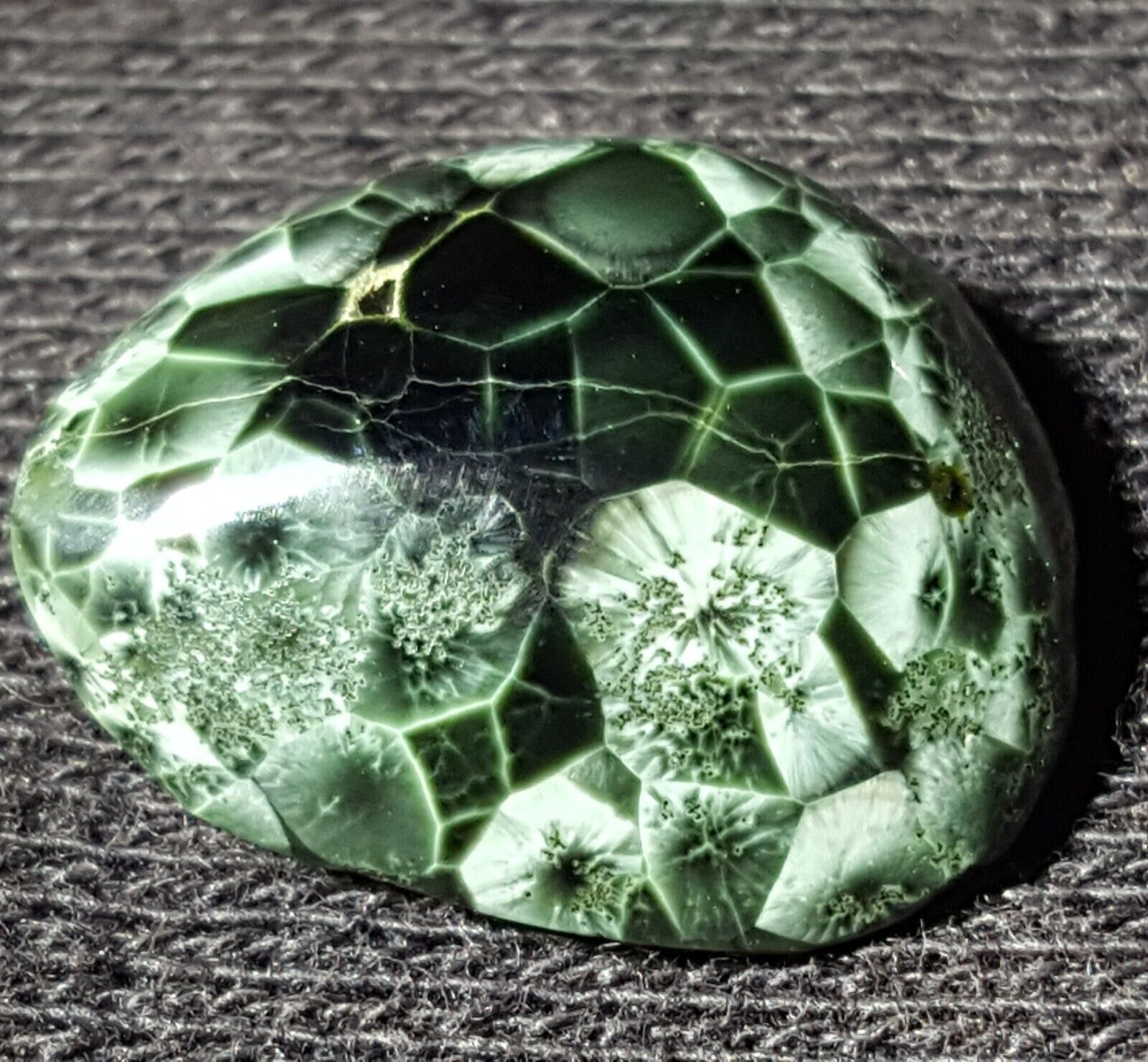 Chlorastrolite Michigan Greenstone rare gem