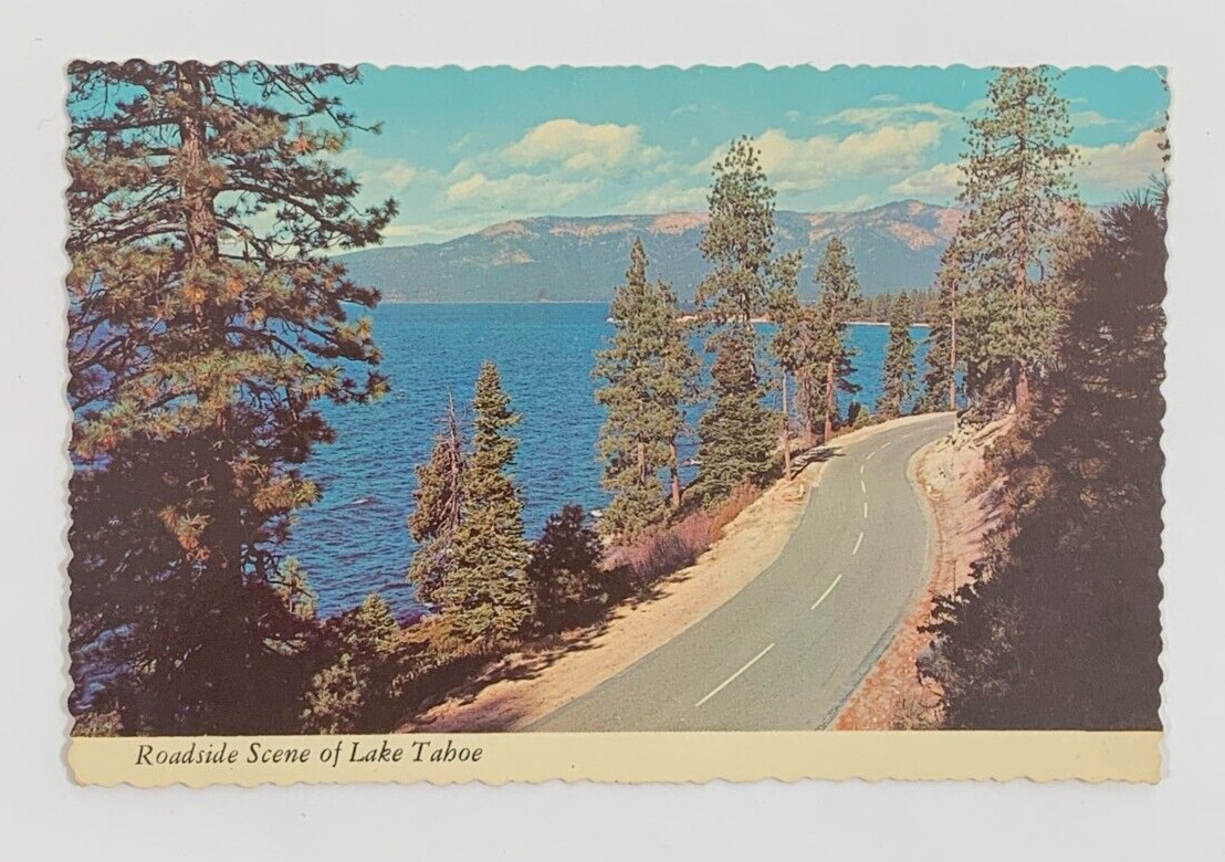 Roadside Scene of Lake Tahoe in Sierra Mountains California Postcard Unposted