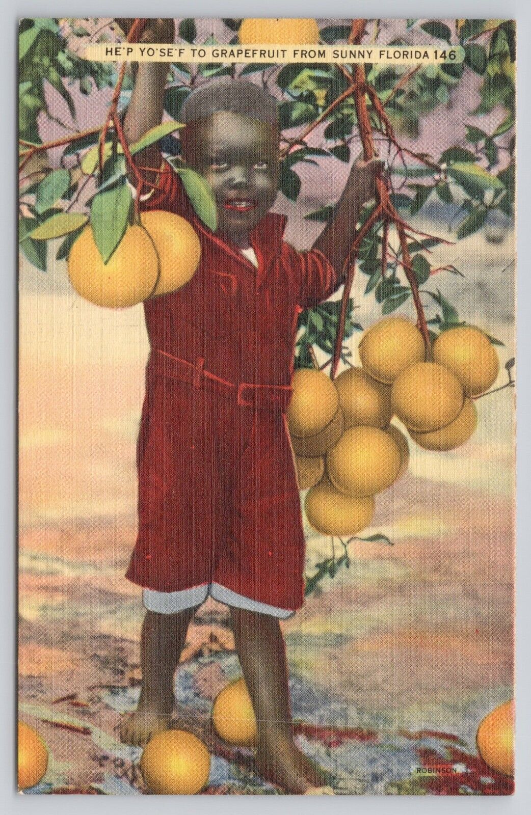 Florida FL - Young Boy Holding Grapefruit Branch Sunshine State Linen Postcard