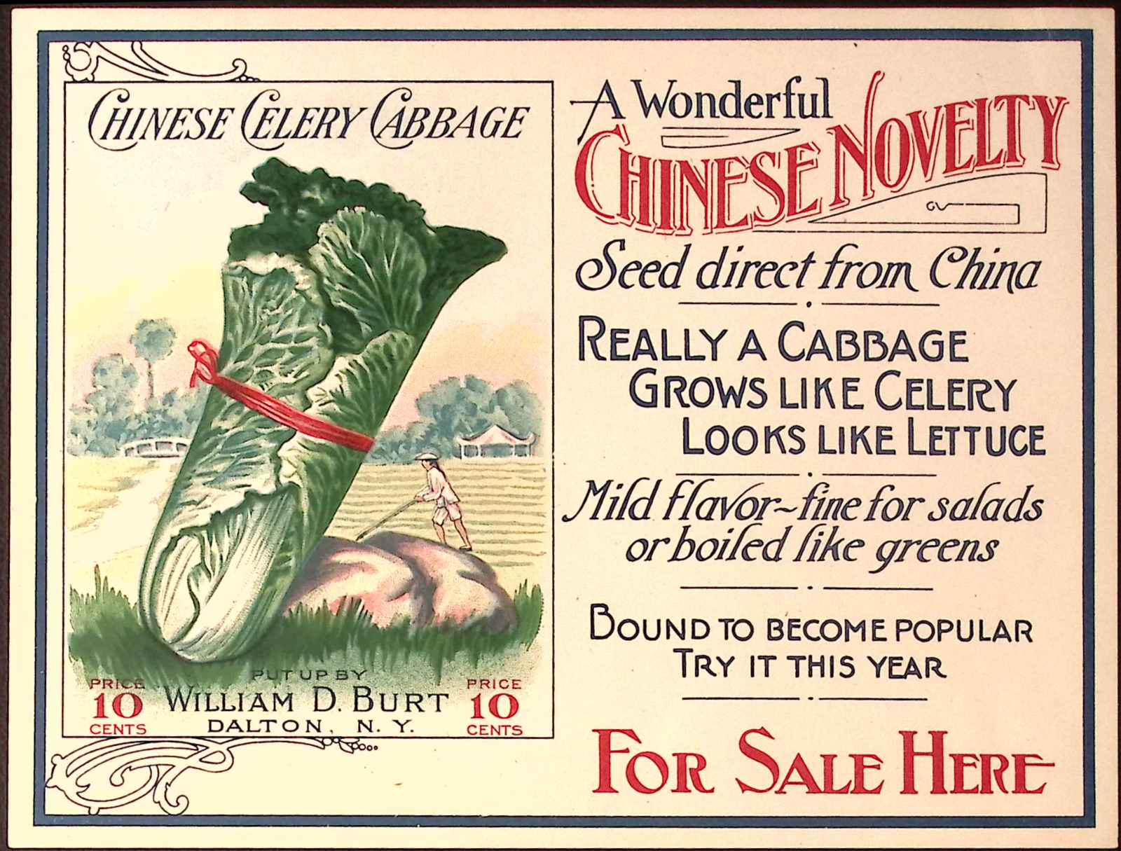 1910s William D Burt DALTON NY Chinese Celery Cabbage Label Paper Store Sign