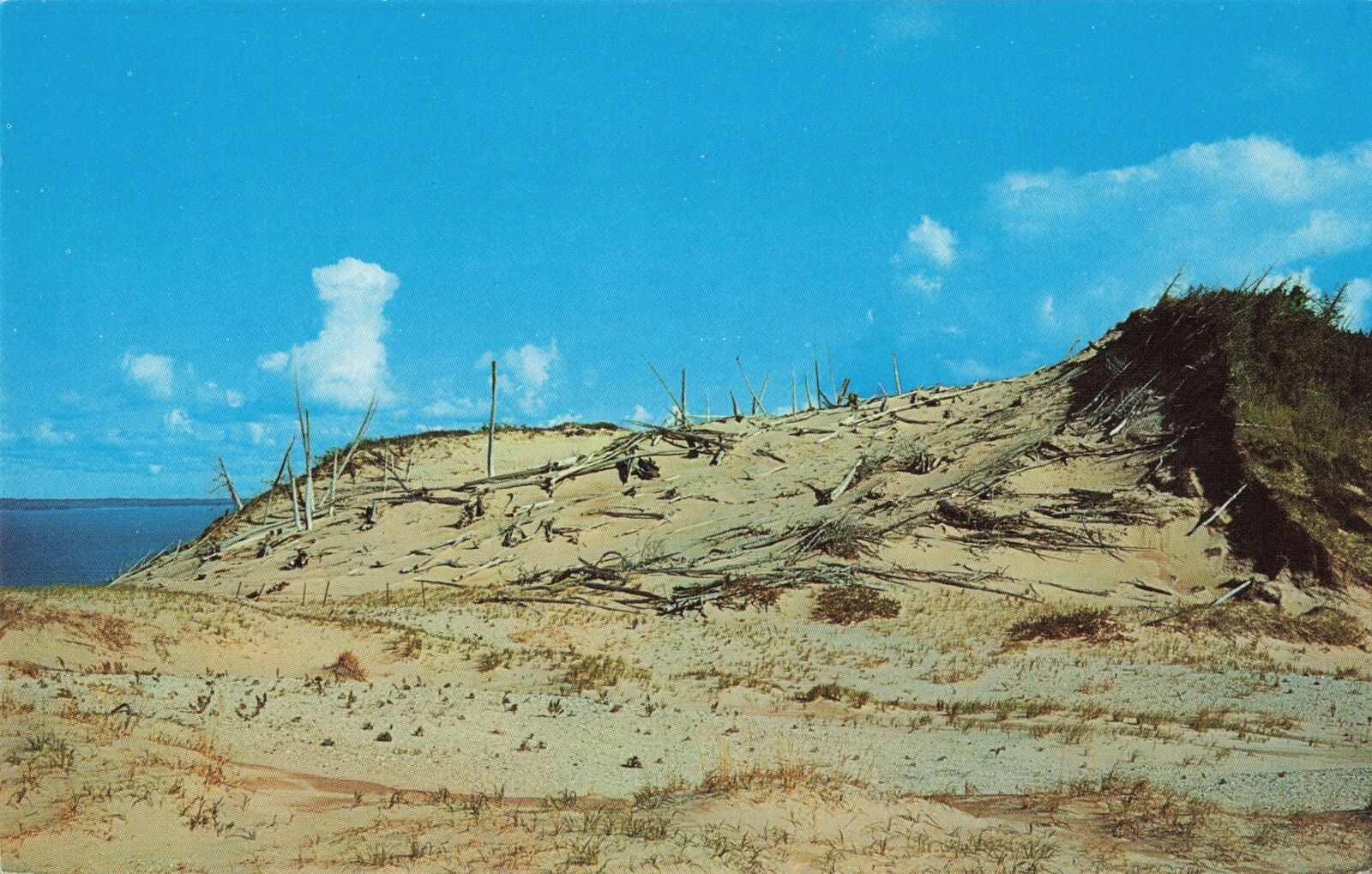 NW Glen Haven Arbor Empire MI 1960 ACTUAL-SLEEPING MAMA BEAR- a Dunes Legend