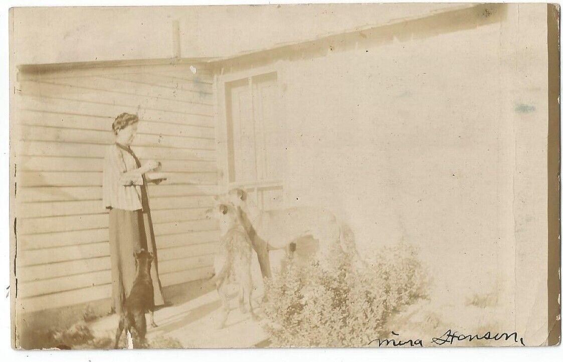 Aurora, NE Nebraska 1908 RPPC Postcard, Mina Hanson and Dogs