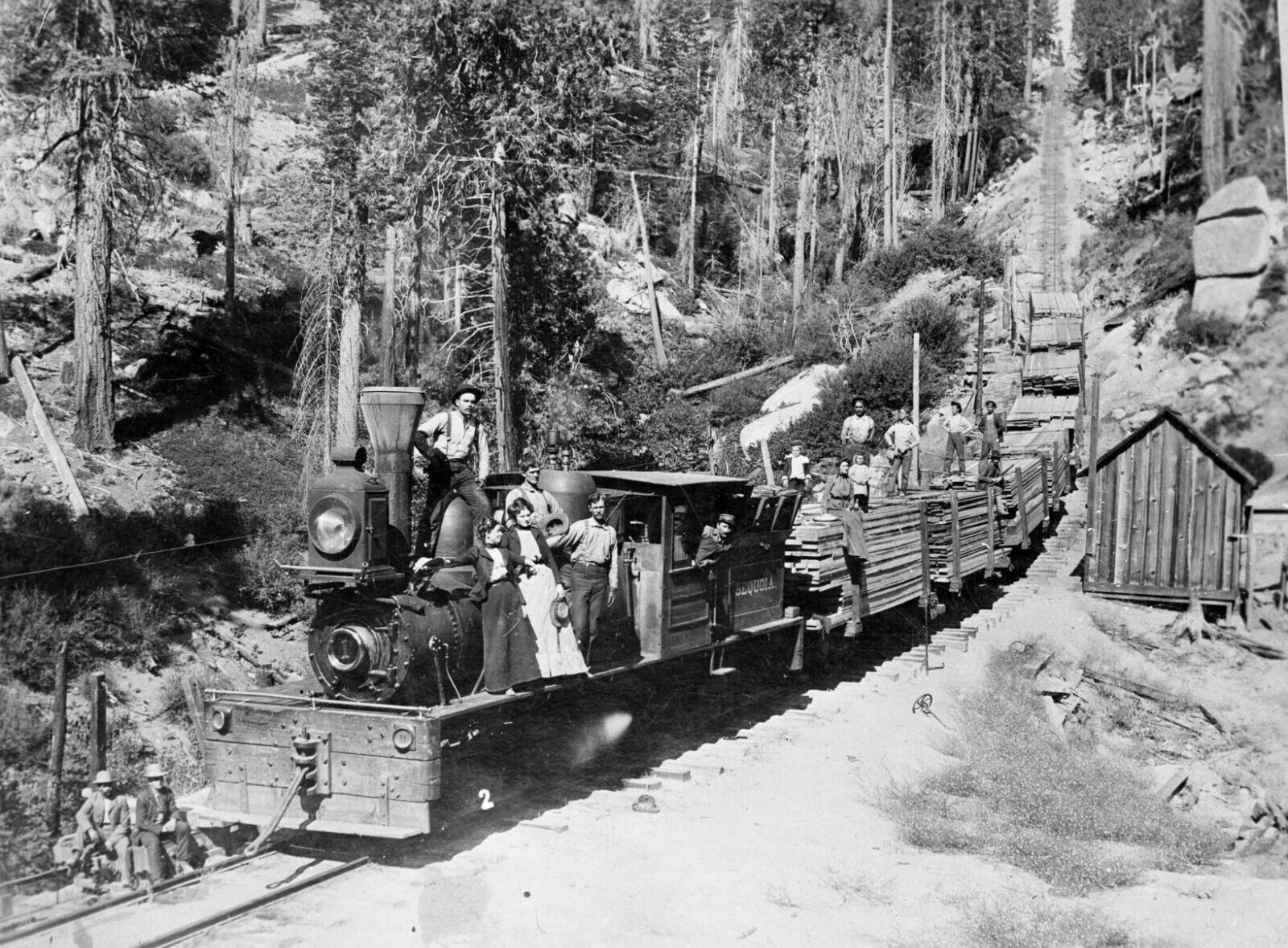 Black and White Photo Railroad Logging Train  8x10 Reprint  A-6