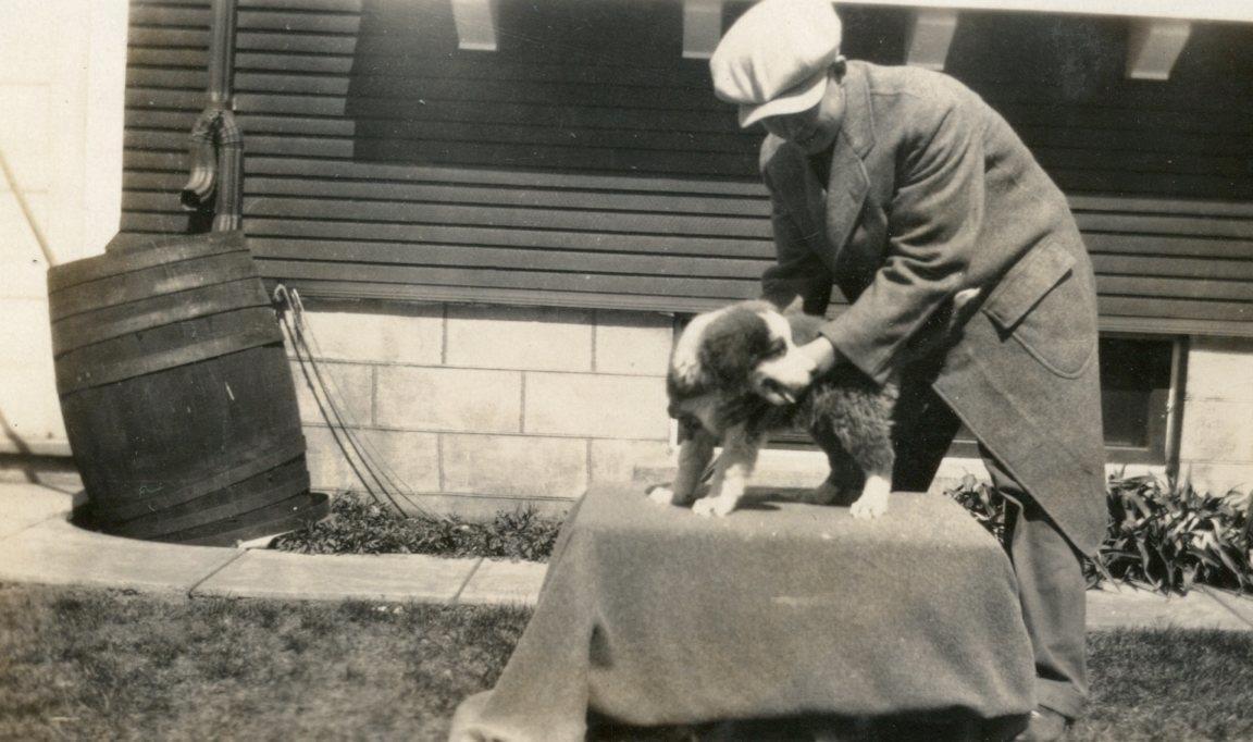 MT154 Vtg Photo BORDER COLLIE PUPPY SHOW STANCE PRACTICE, POSING c Early 1900\'s