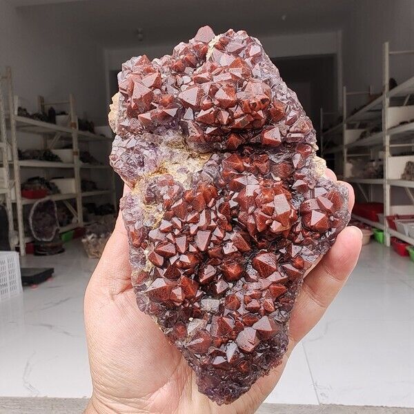 840g Genuine rare Red Cap Auralite 23 raw cluster Quartz Mineral Specimen