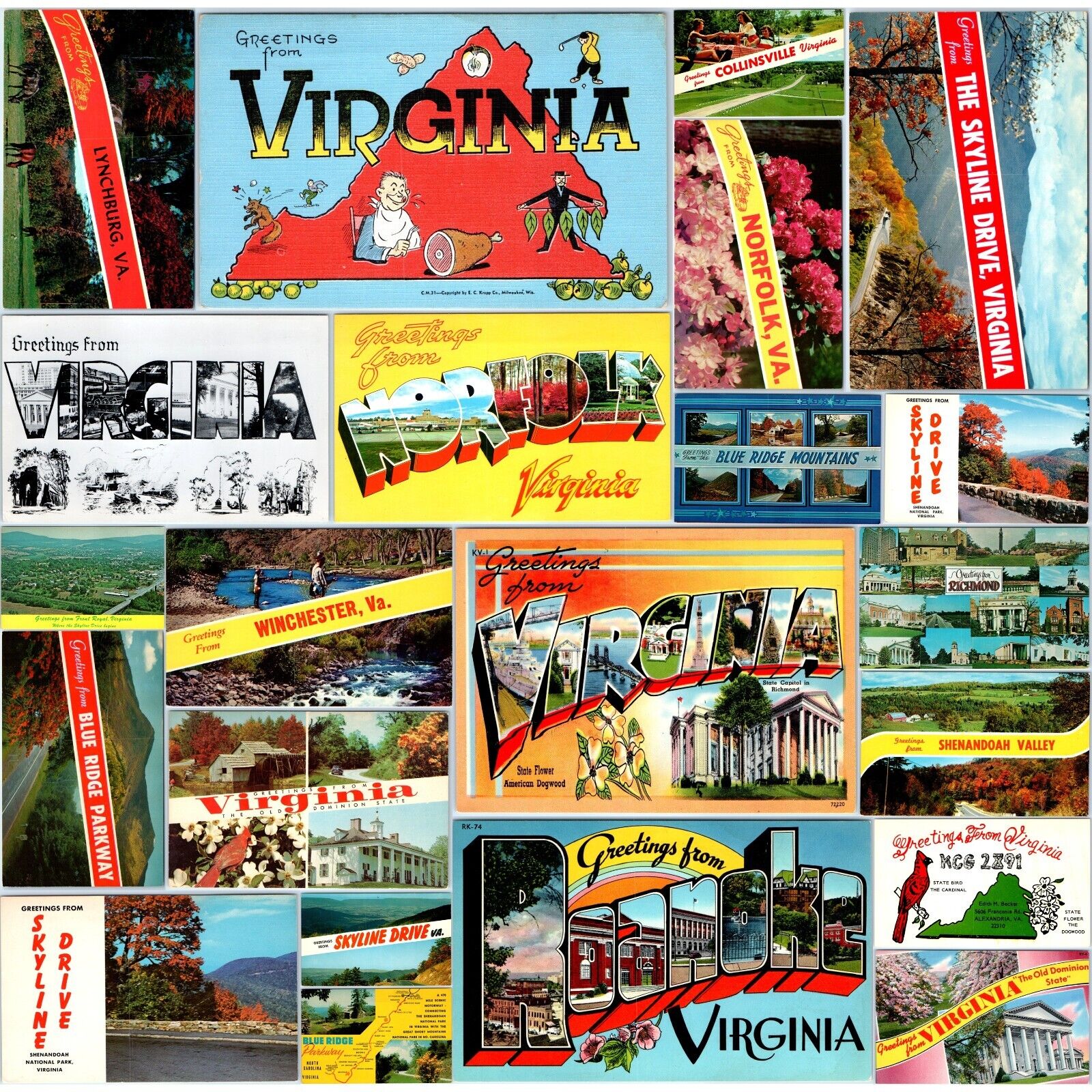 x22 Virginia SET c1960s VA State Greetings Chrome Photo Postcard Lot Vtg A183