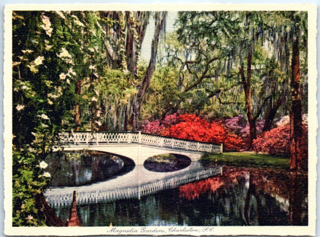 Postcard - Magnolia Gardens, Charleston, South Carolina