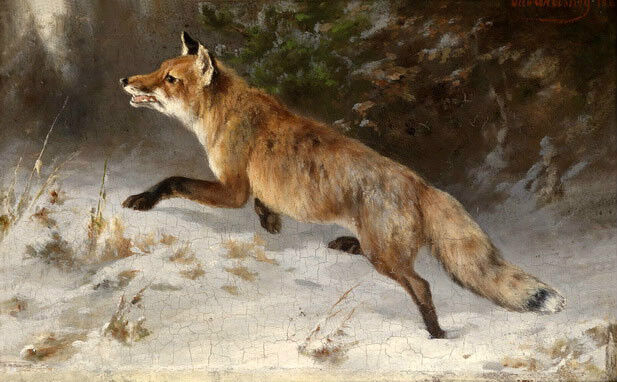 Wonderful Oil painting beautiful wild animals fox Looking for prey in landscape