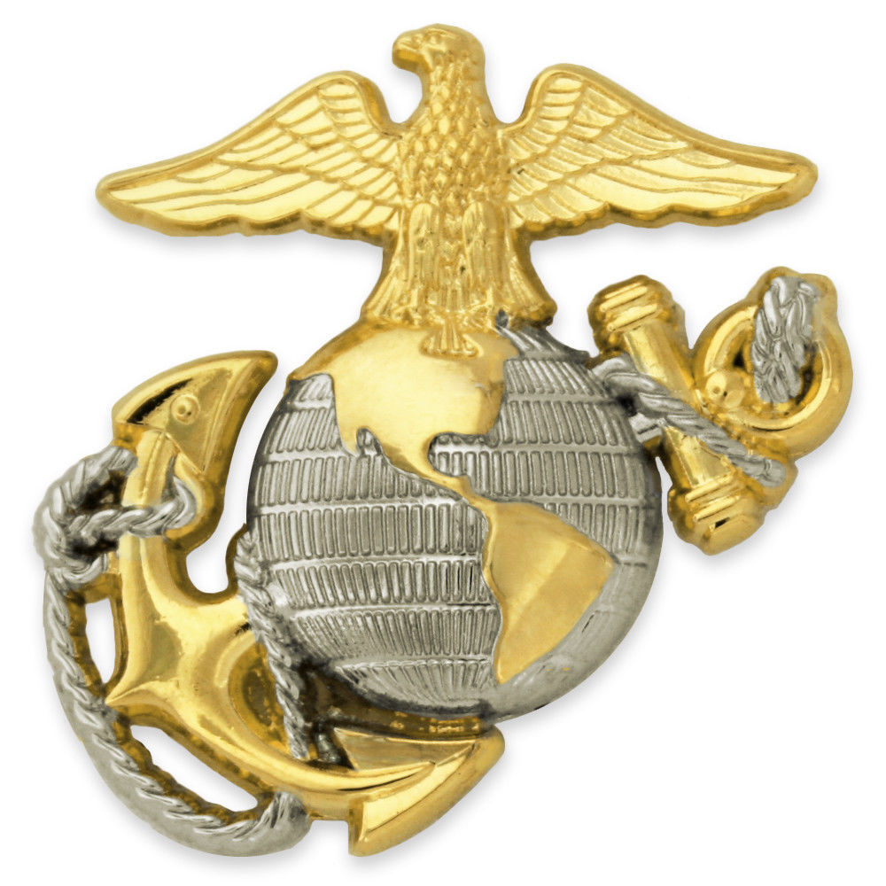 USMC MARINE CORPS EGA LOGO GOLD SILVER BADGE PIN