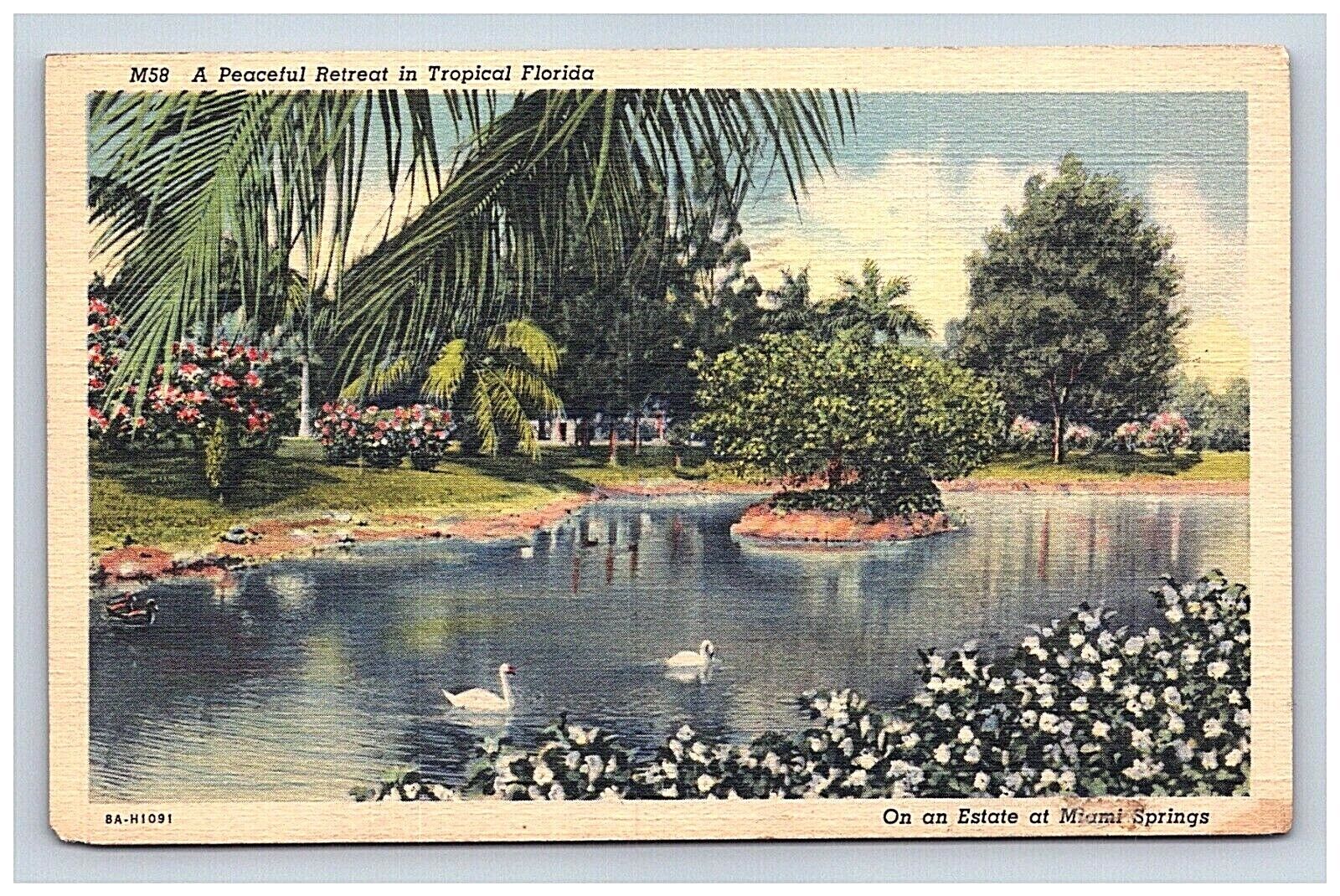 Postcard 1941 FL Peaceful Retreat Tropical View Swans Miami Springs Florida 