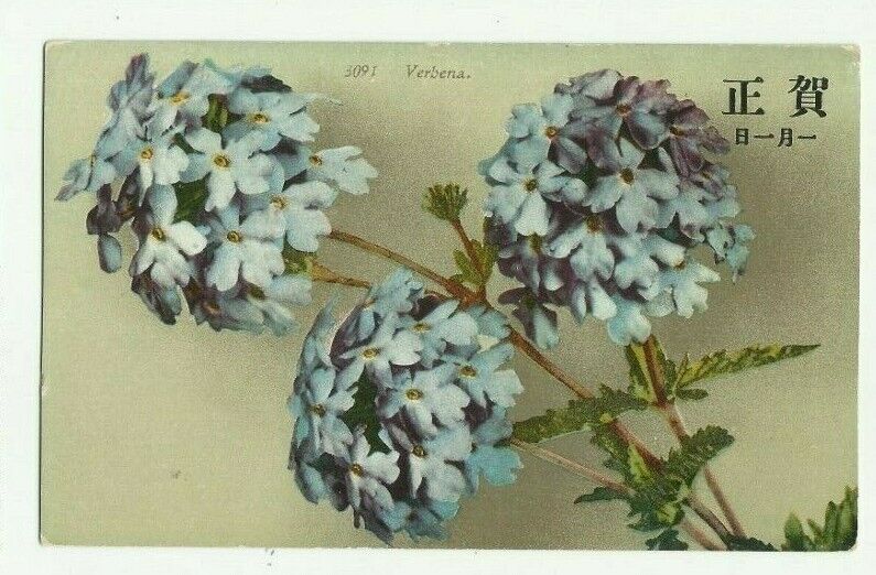 Antique postcard, Verbena flowers, chinese symbols