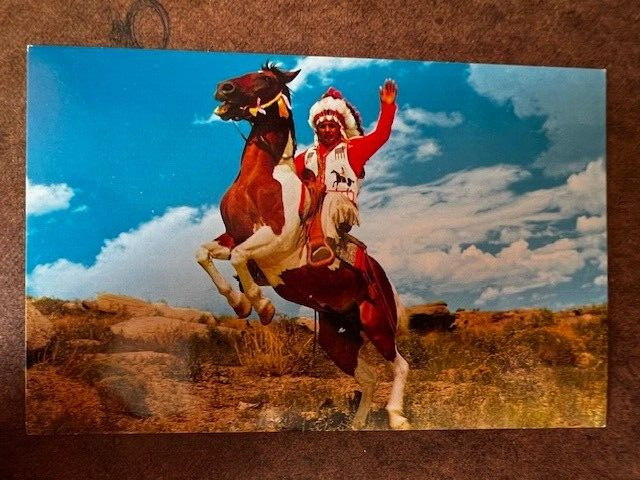 Indian Native American Chief Deerfoot Paint Stallion Postcard  Vintage