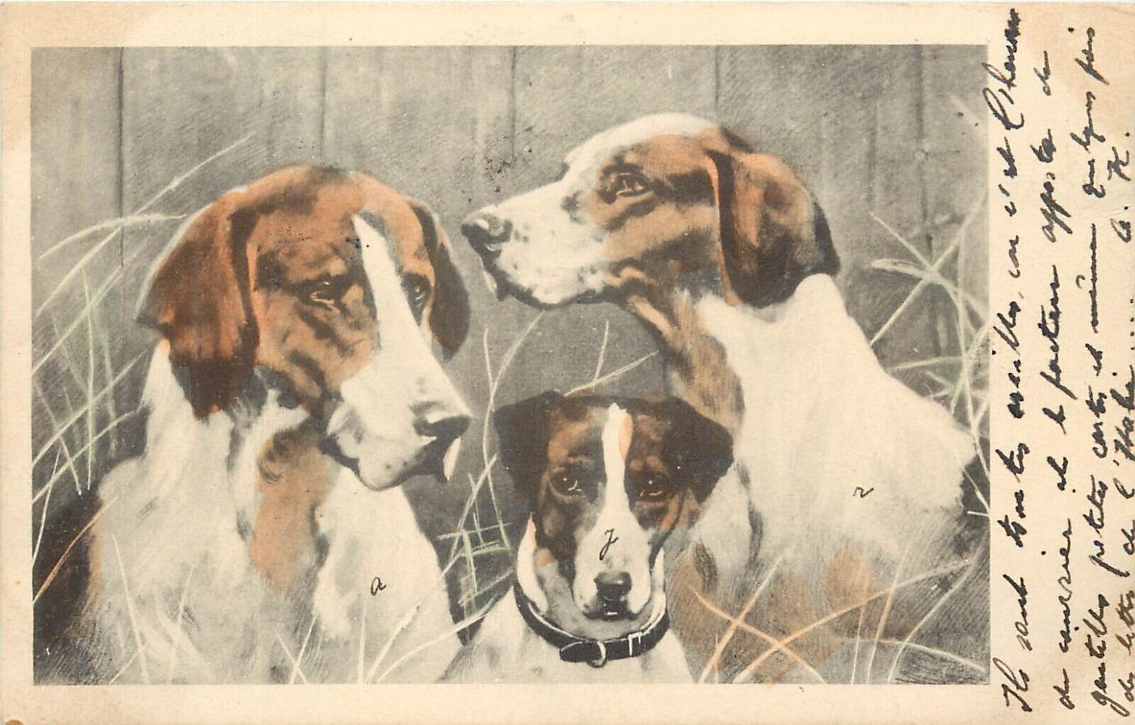 UDB Swiss Postcard Hand-Colored Dogs Hunting Hound Breeds, Posted 1902