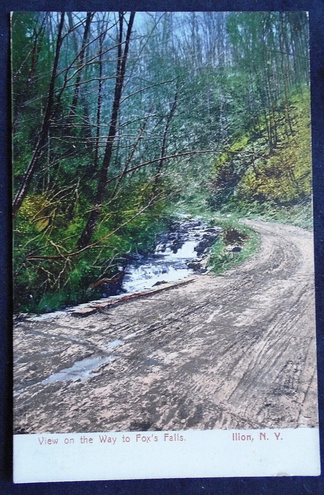 View on the Way to Fox\'s Falls, circa 1905  #234-17
