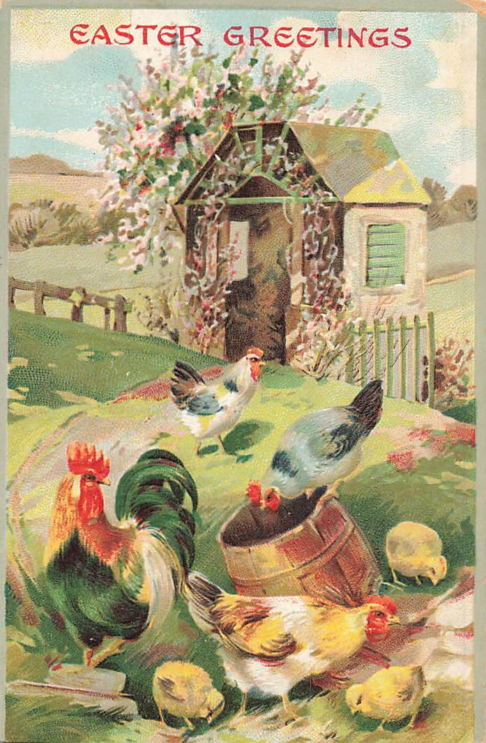 c1910 Chicks Chickens Hens Eating House Easter P325