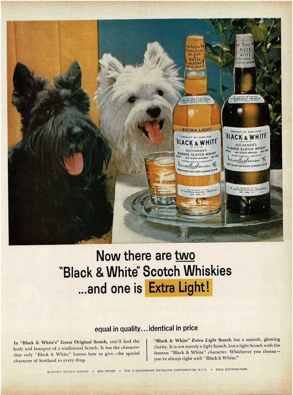 1964 BLACK & WHITE Scotch Whisky Scottish Terriers Vintage Print Ad