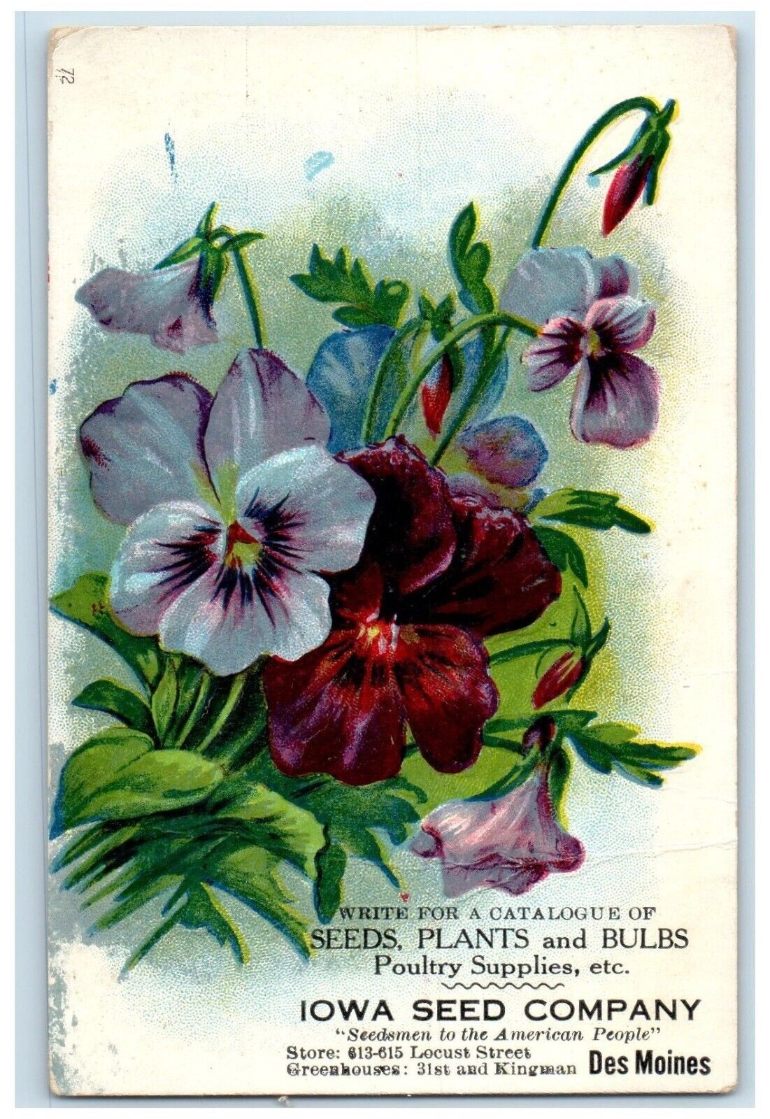 c1910's Seeds Plants Bulbs Poultry Supplies Des Moines Iowa IA Vintage Postcard
