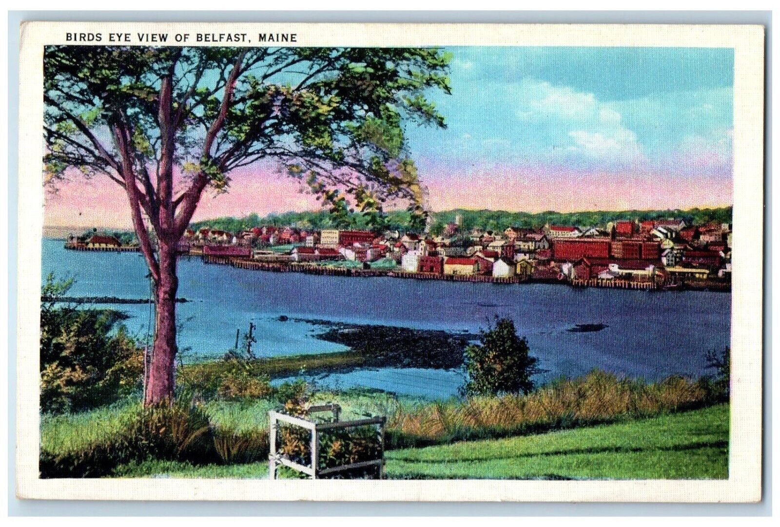 1936 Birds Eye View Belfast Lake Trees Houses Maine ME Vintage Antique Postcard