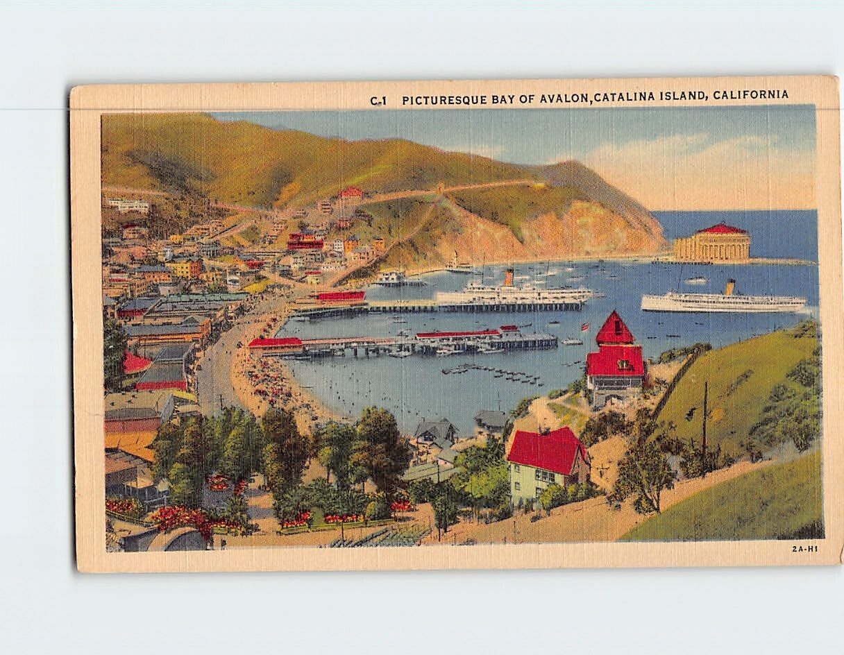 Postcard Picturesque Bay of Avalon Catalina Island California USA