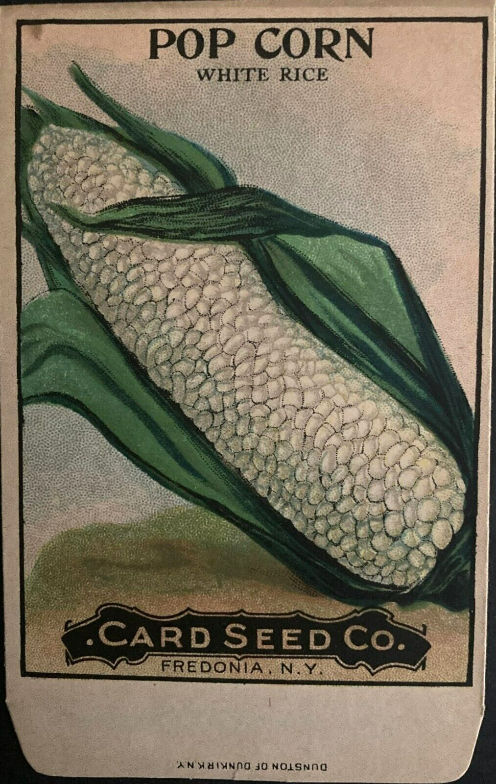 1908 Pop Corn White Rice Seed Packet - Card Seed Co. Fredonia, N.Y. \