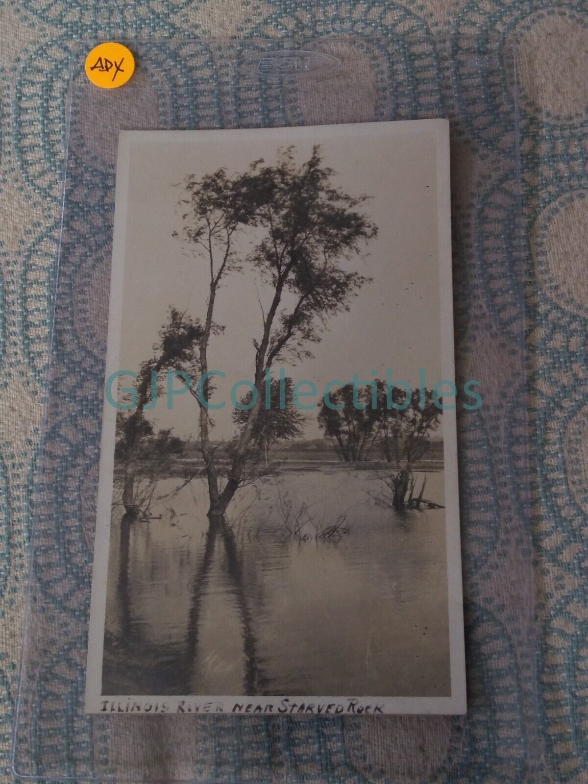 ADX VINTAGE PHOTOGRAPH Spencer Lionel Adams ILLINOIS RIVER NEAR STARVED ROCK
