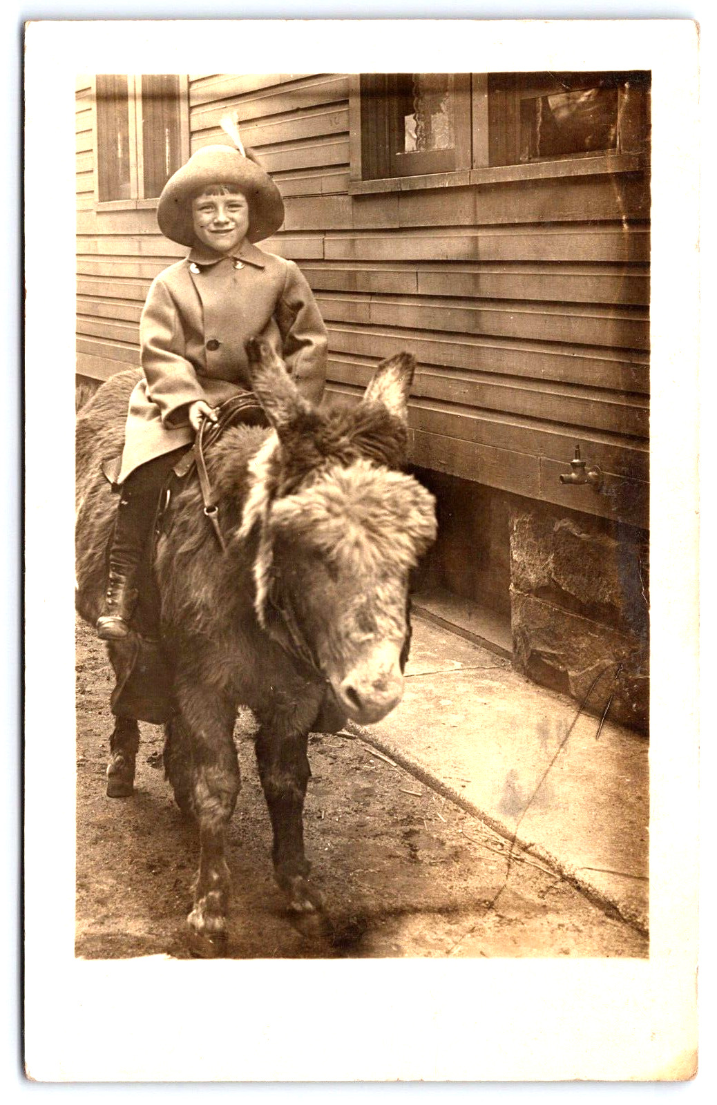 Postcard RPPC 1913 Girl Smiling on her Donkey A13