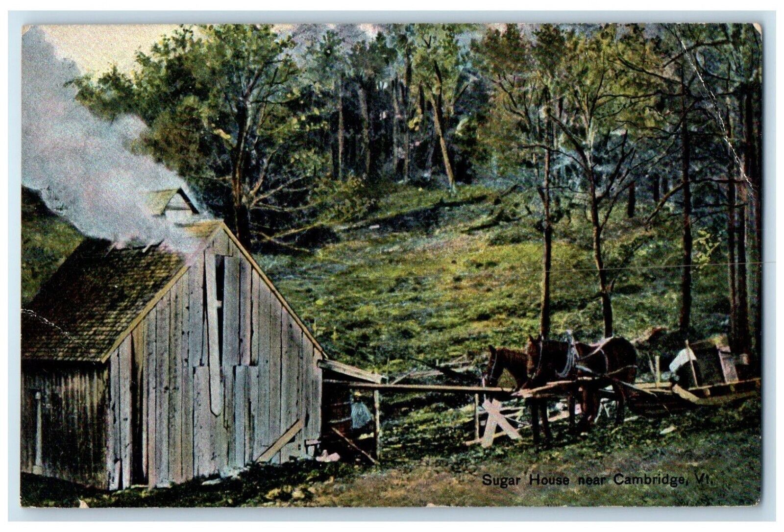 1908 Sugar House Near Cambridge Trees Horse Vermont VT Antique Vintage Postcard