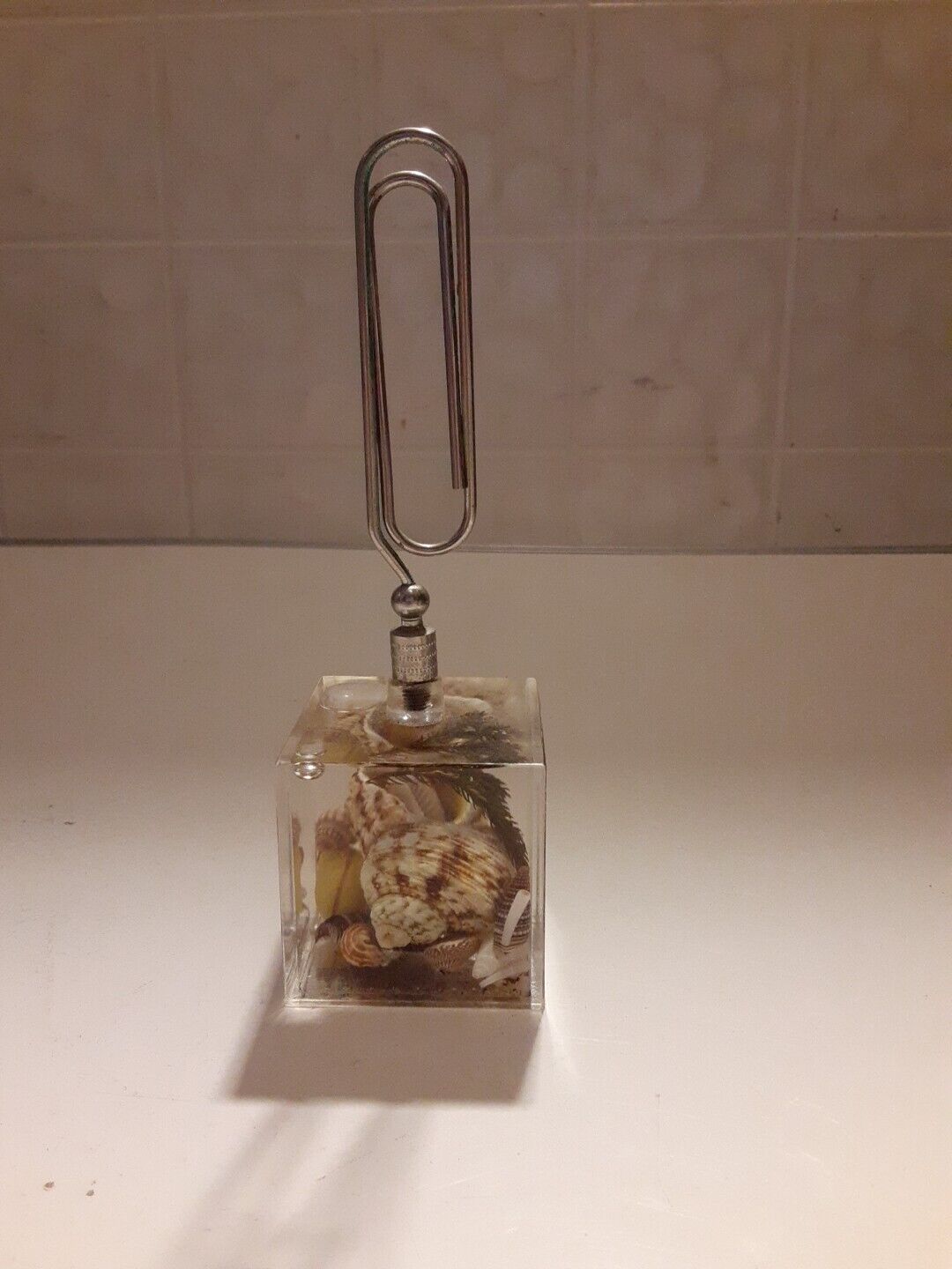 Vintage seashell note holder paperweight sea shell