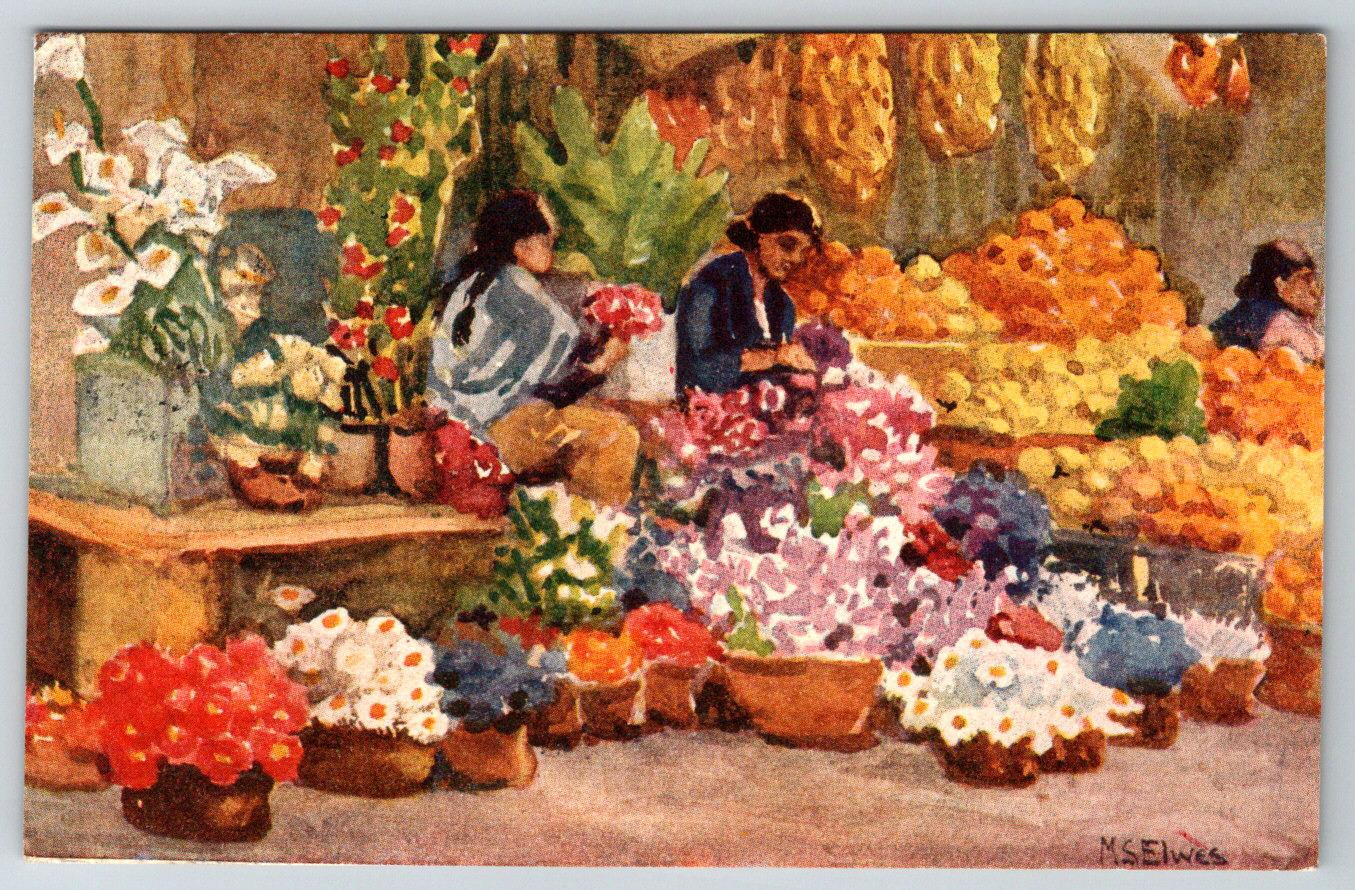 c1960s Tarjeta Postal Mexico Silver City New Mexico Flowers Market Scene Vintage