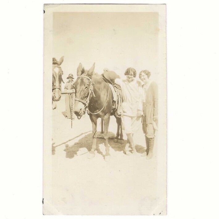 Photo Vintage Vernacular Snapshot 3 Women Three Graces Horses Mount Love 1920s 