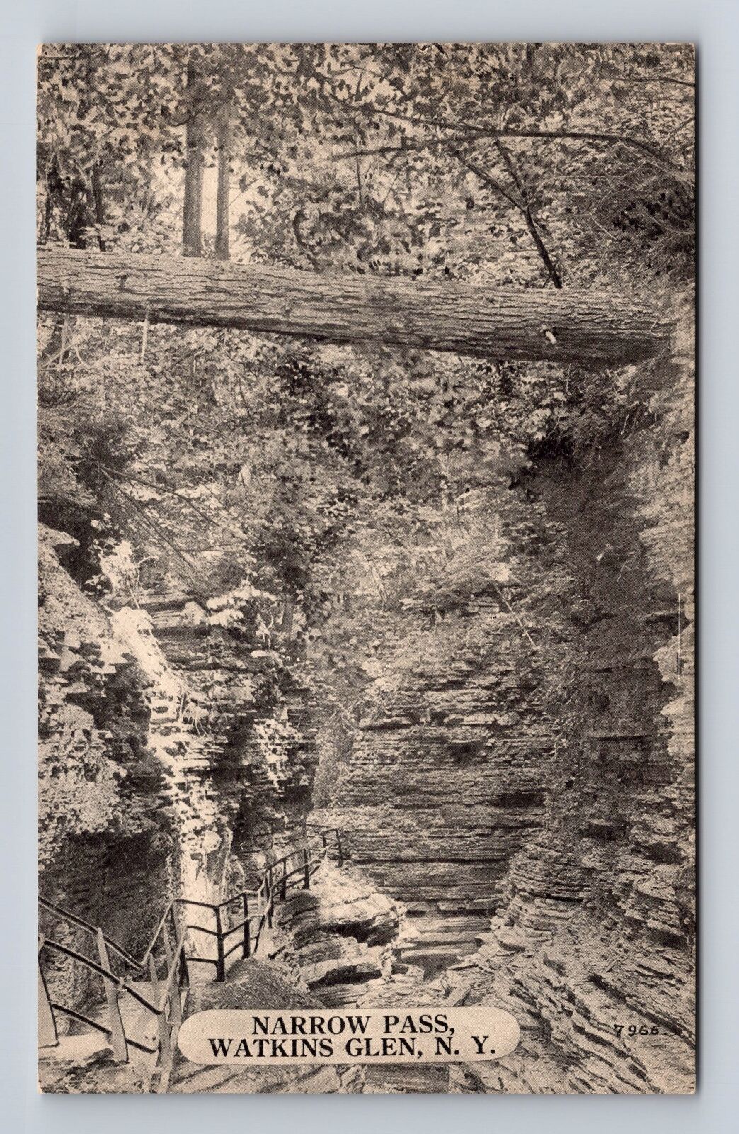 Watkins Glen NY-New York, Narrow Pass, Antique, Vintage Souvenir Postcard