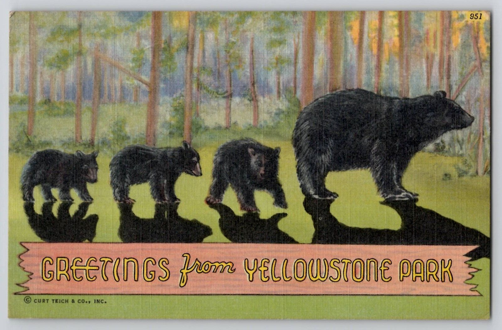 Greetings from Yellowstone Park WY Mama Bear & Cubs Linen Postcard c1940s Banner