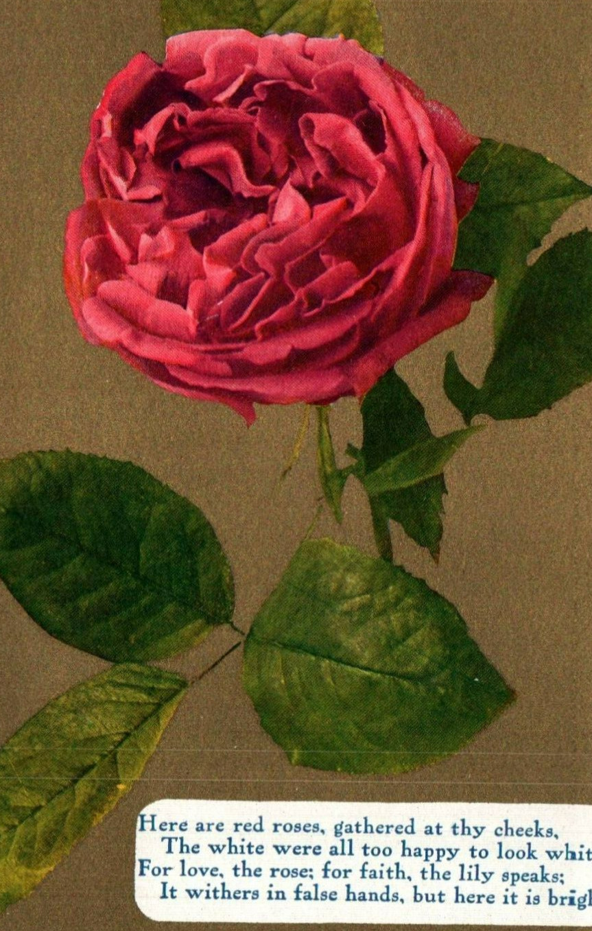 Vintage Postcard-Early 1900s-Rose-Flower-Poem
