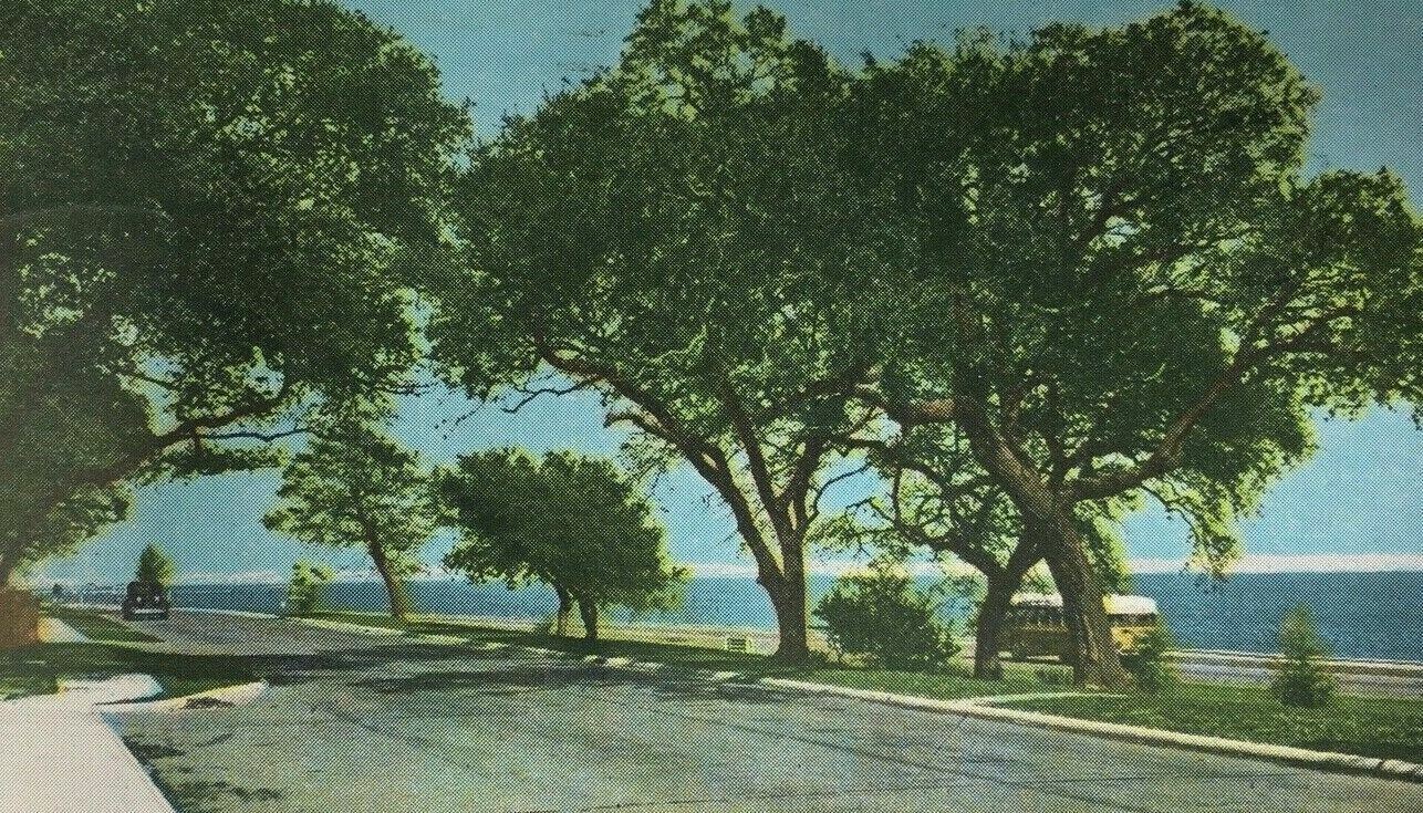 1942 Four Lane Highway Mississippi Gulf Coast Postcard