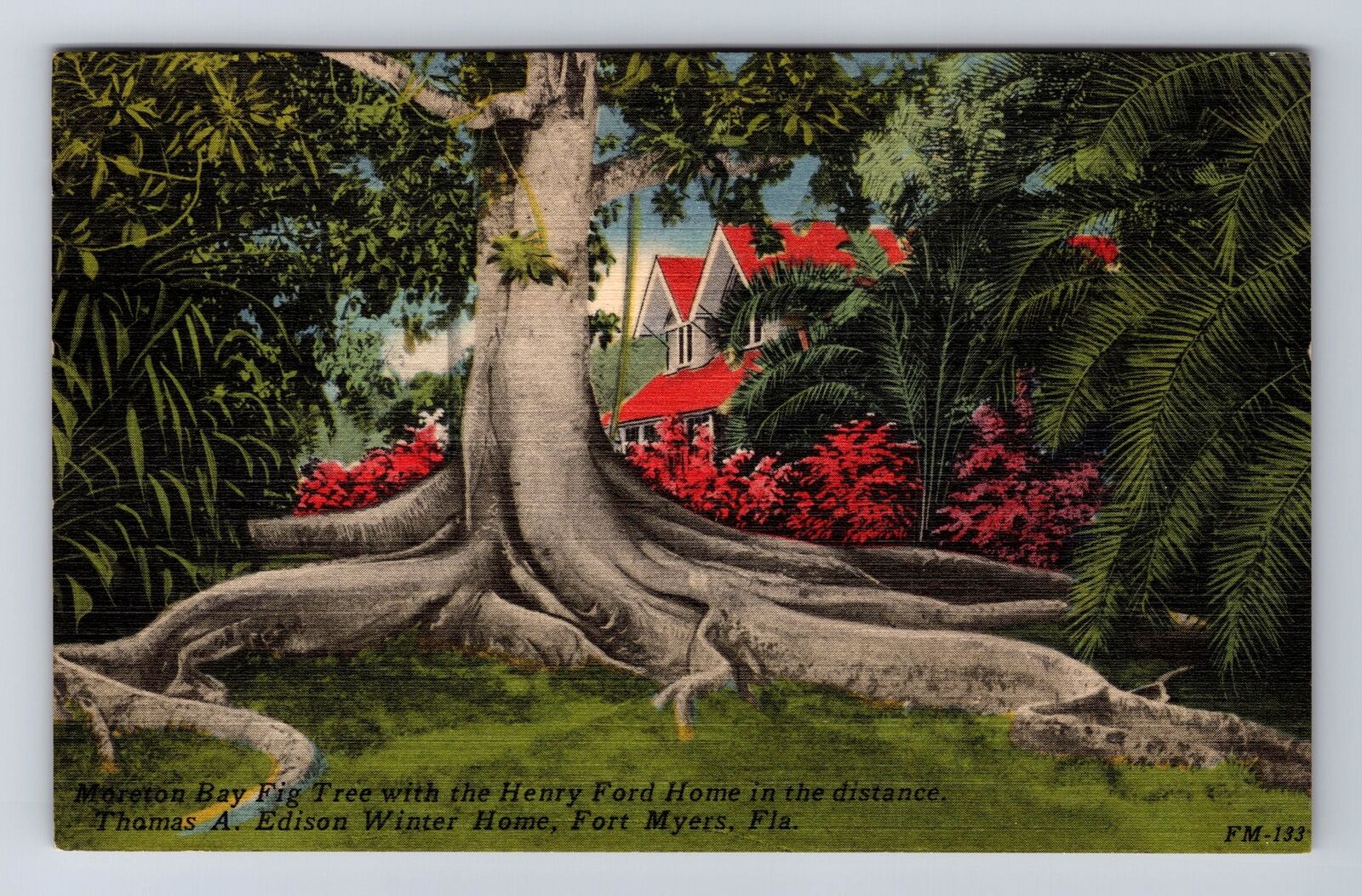 Fort Myers FL-Florida, Moreton Bay, Henry Ford Home, Vintage c1958 Postcard