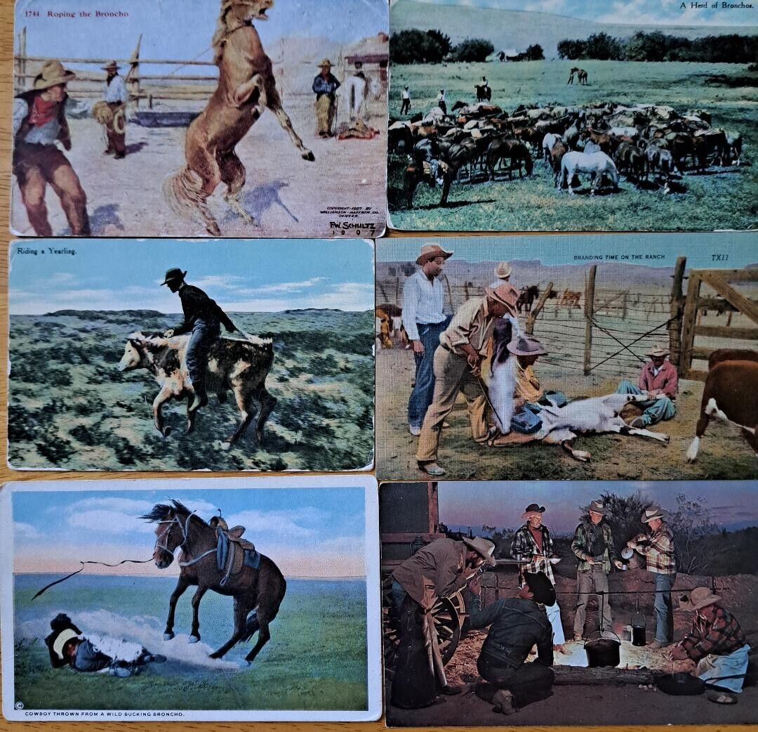 LOT OF 6   Vintage  Postcards  COWBOYS    Western Scenes  Cattle