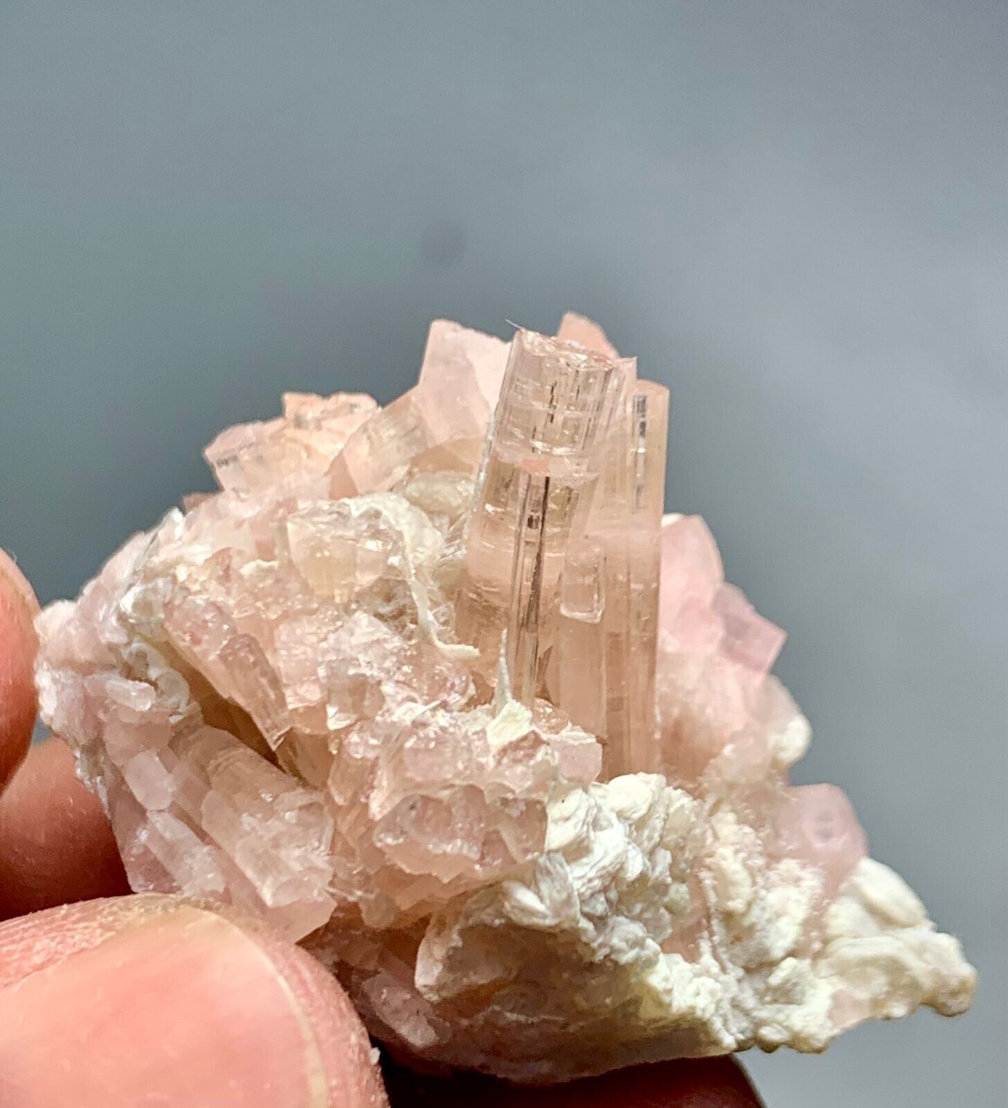 81 Cts  Top Quality Pink Tourmaline Crystals Bunch Specimen from Afghanistan